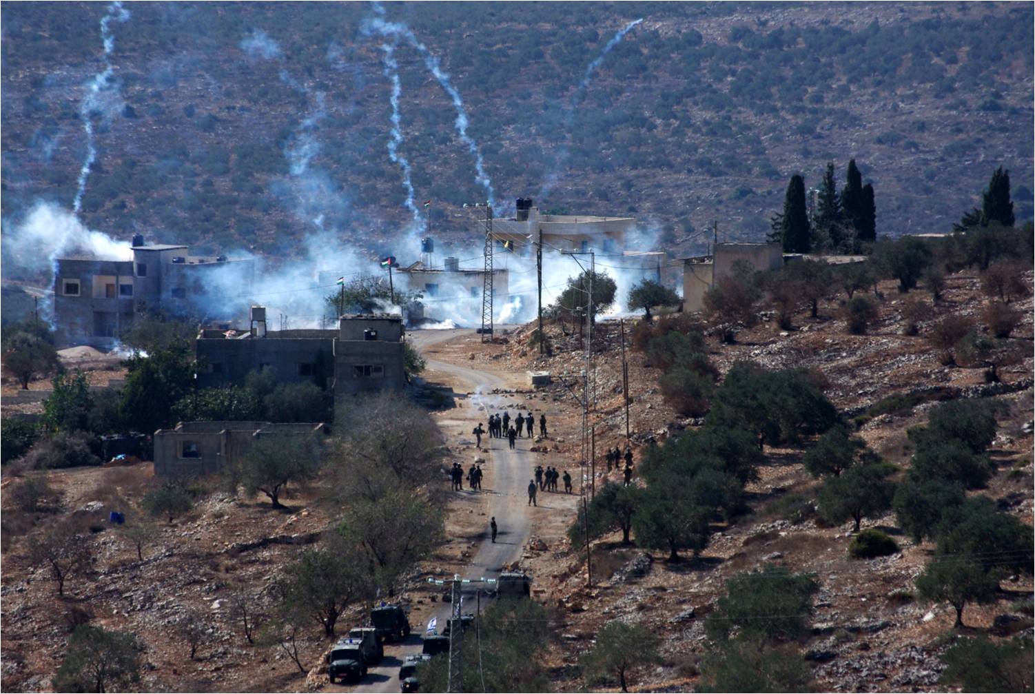 תמונה שפורסמה