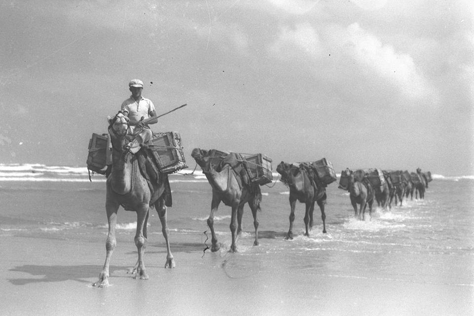    ‫נמל תל אביב הישן‬‎