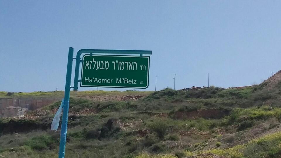 תמונה