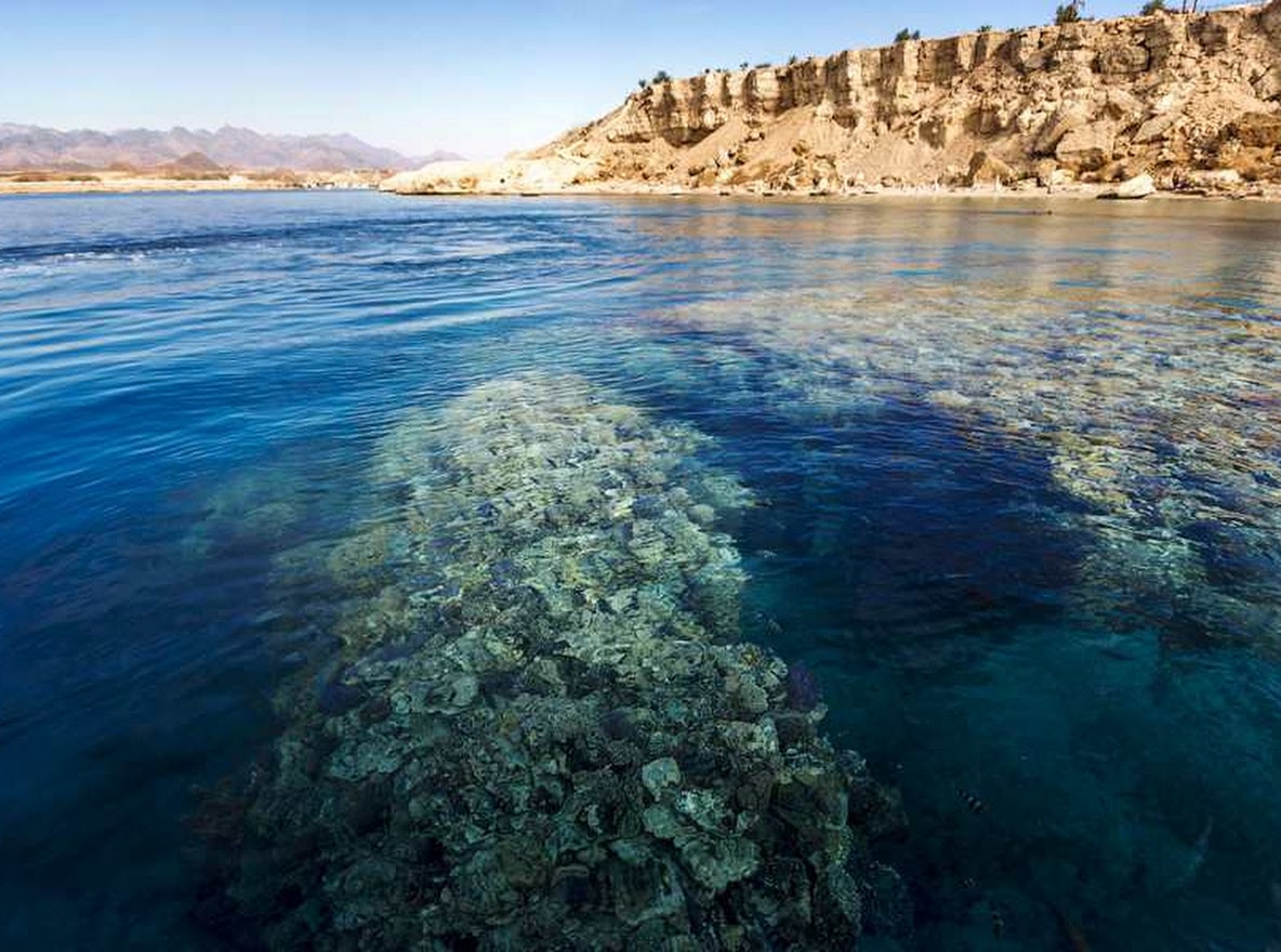 Красное море соленое. Национальный парк рас Мухаммед. Рас Мохаммед Шарм-Эль-Шейх. Заповедник рас Мохаммед в Шарм Эль Шейхе. Парк рас Мохаммед Египет.